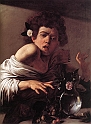 Caravaggio - Boy Bitten By A Lizard - London45